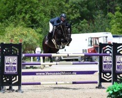jumper Luuk (KWPN (Royal Dutch Sporthorse), 2016, from Hotspot)