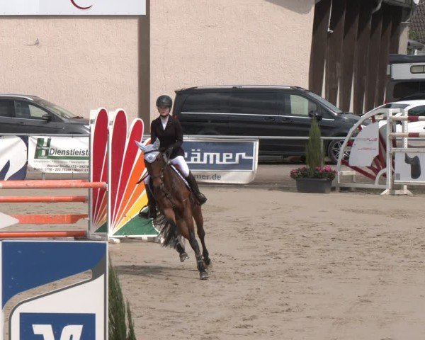 Reitturnier Olfen 2025