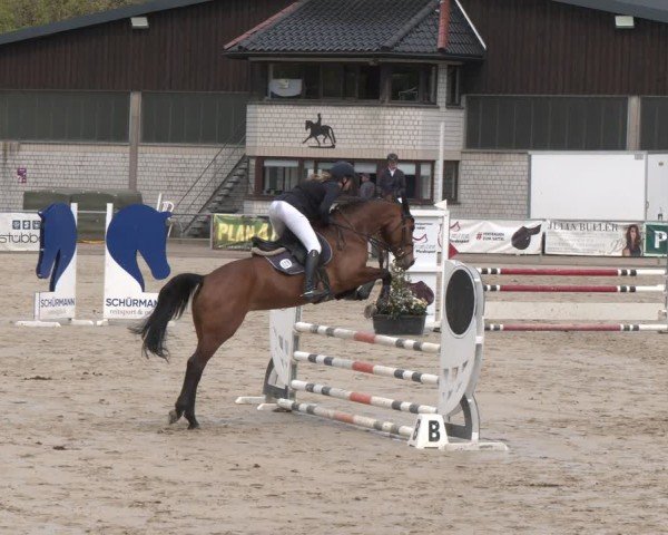 Reitturnier Olfen 2025
