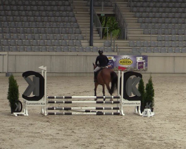 Reitturnier Aachen 2025
