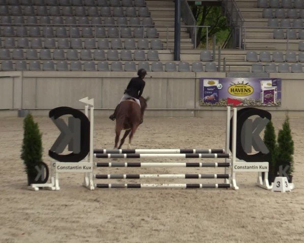 Reitturnier Aachen 2025