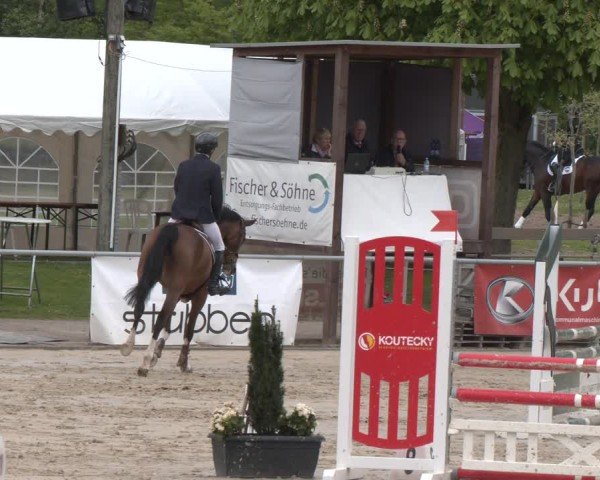 Reitturnier Olfen 2025