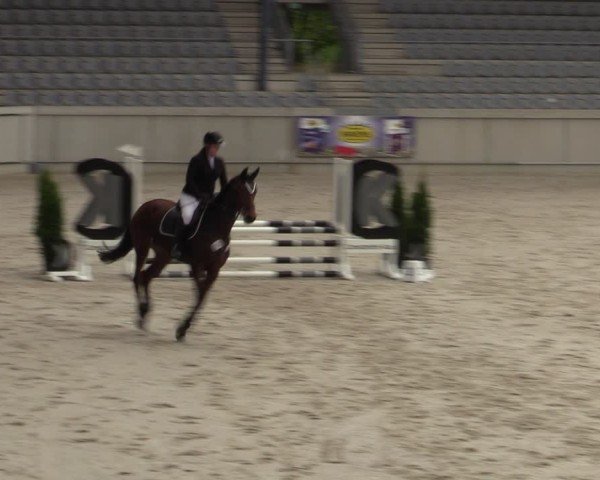 Reitturnier Aachen 2025