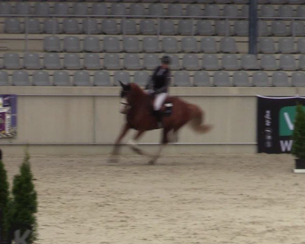 Reitturnier Aachen 2025