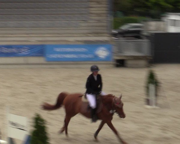Reitturnier Aachen 2025