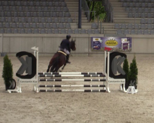 Reitturnier Aachen 2025