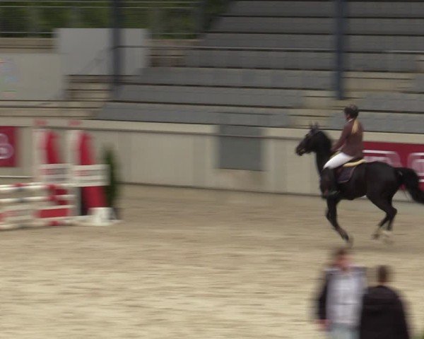 Reitturnier Aachen 2025