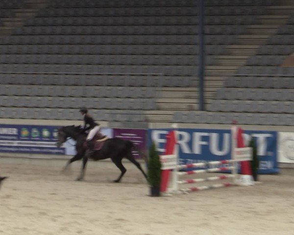 Reitturnier Aachen 2025