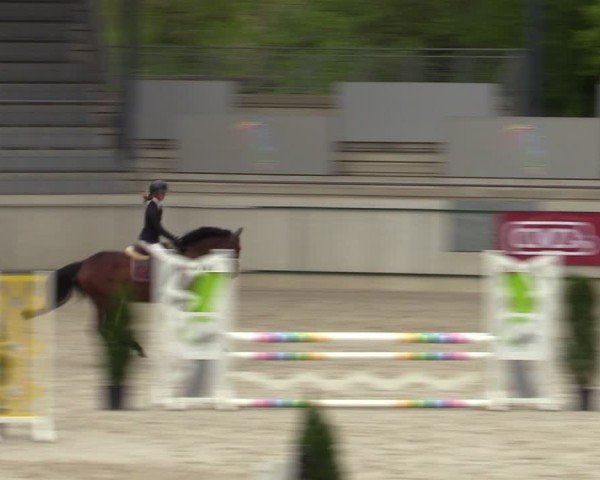 Reitturnier Aachen 2025