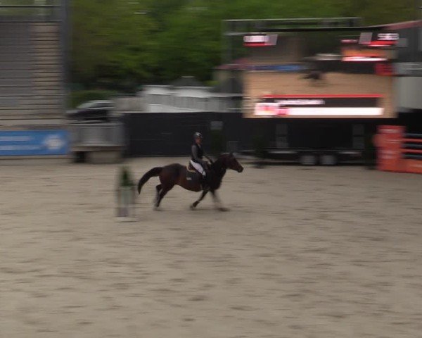Reitturnier Aachen 2025