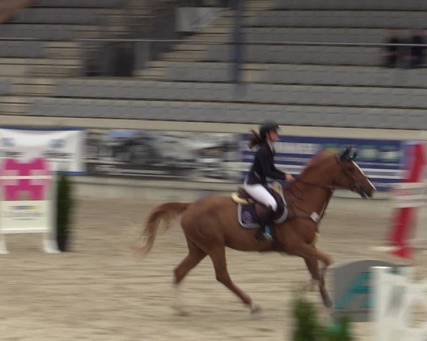 Reitturnier Aachen 2025