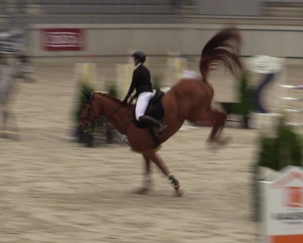 Reitturnier Aachen 2025