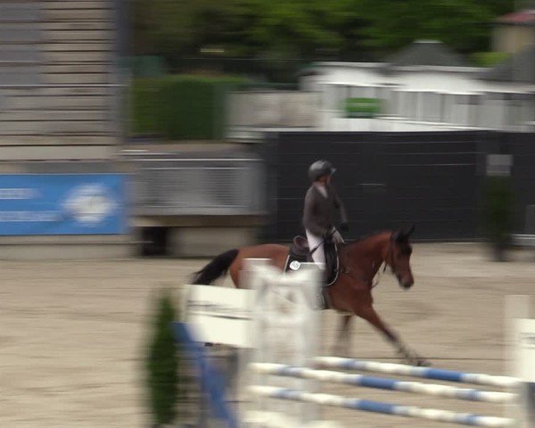 Reitturnier Aachen 2025