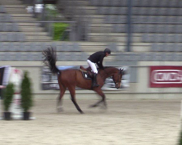 Reitturnier Aachen 2025