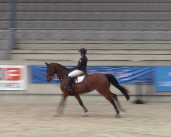 Reitturnier Aachen 2025