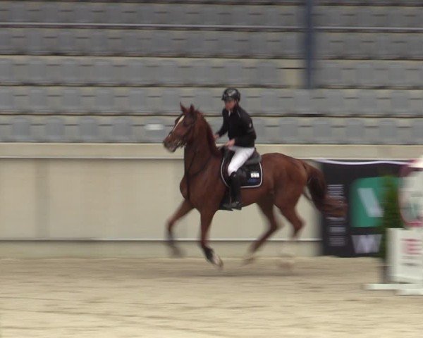 Reitturnier Aachen 2025
