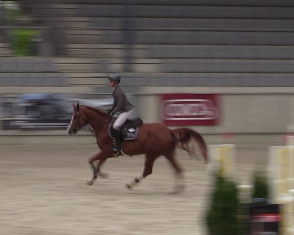 Reitturnier Aachen 2025