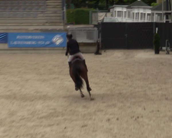 Reitturnier Aachen 2025