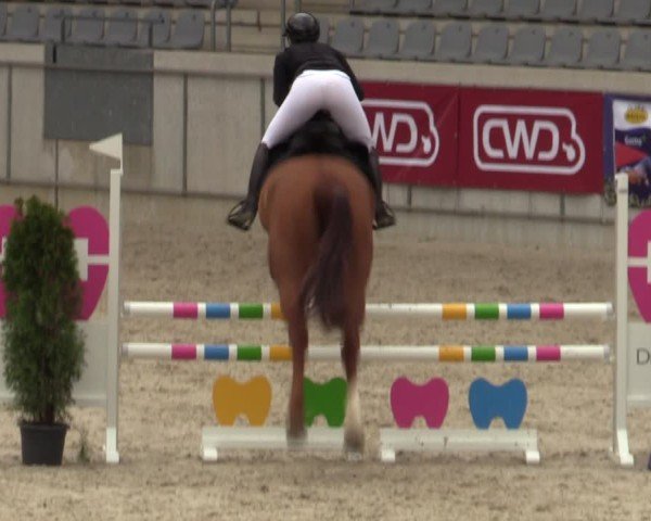 Reitturnier Aachen 2025