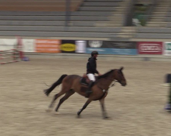 Reitturnier Aachen 2025