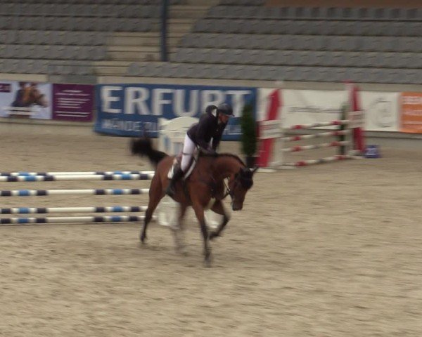 Reitturnier Aachen 2025
