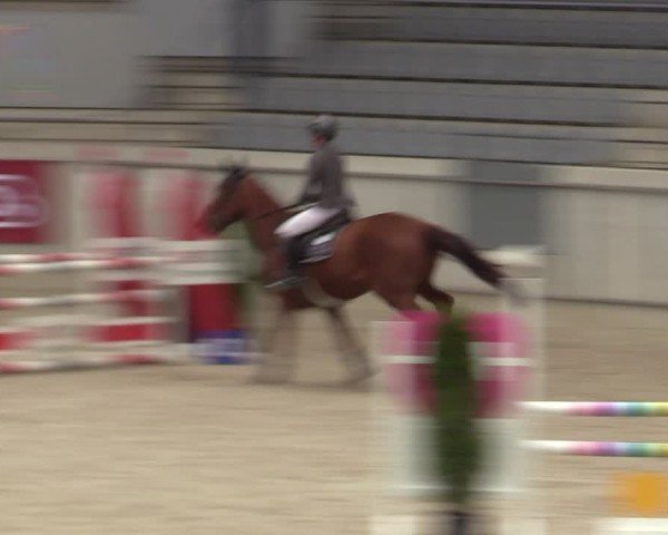 Reitturnier Aachen 2025