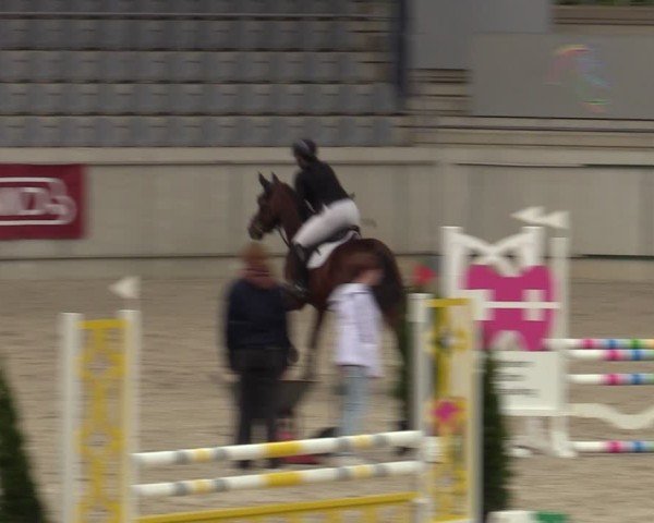 Reitturnier Aachen 2025
