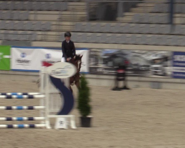 Reitturnier Aachen 2025