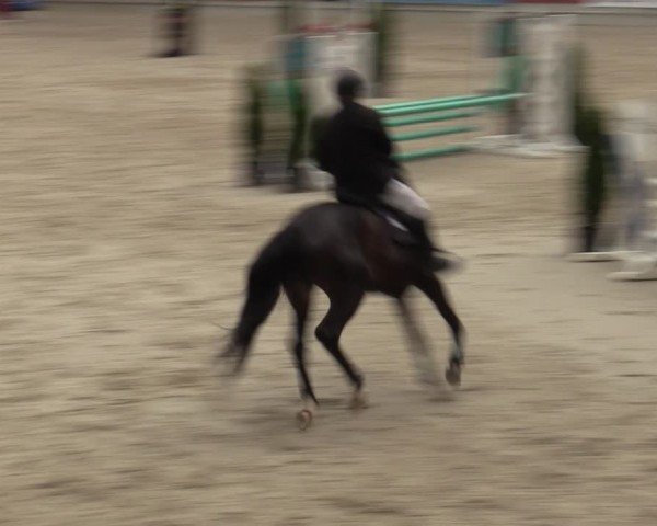 Reitturnier Aachen 2025