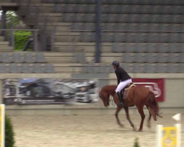 Reitturnier Aachen 2025