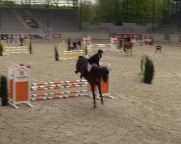 Reitturnier Aachen 2025