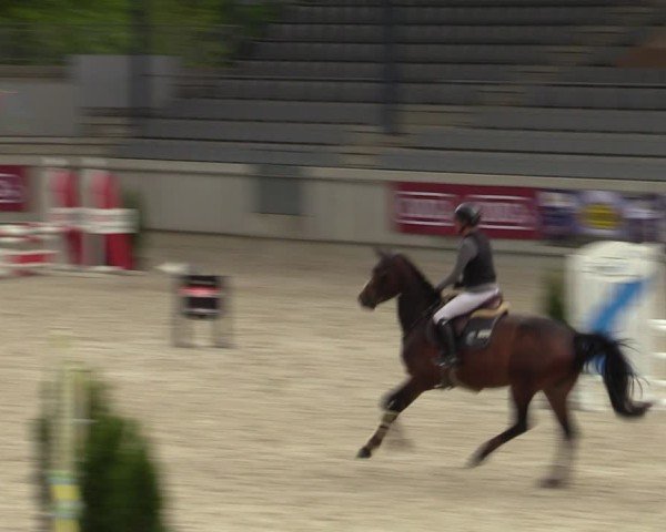 Reitturnier Aachen 2025