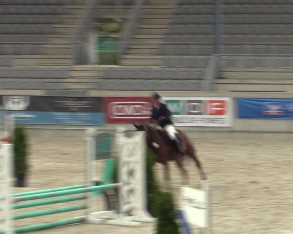 Reitturnier Aachen 2025