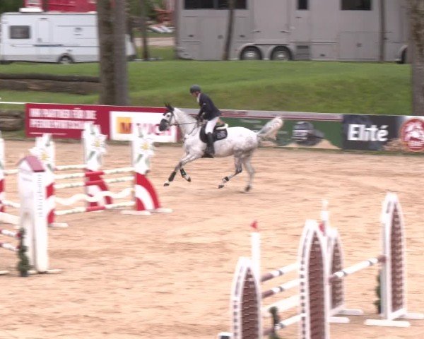 Internationales Springturnier Stadl-Paura 2025