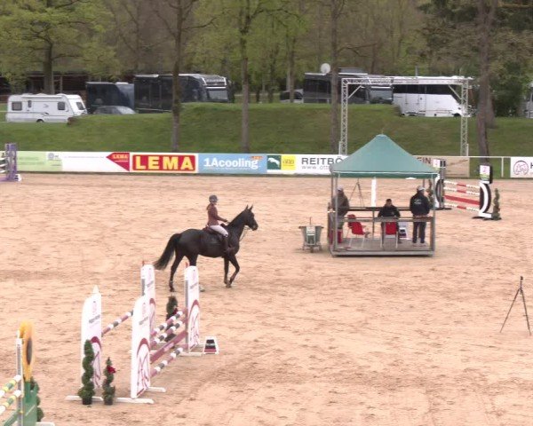 Internationales Springturnier Stadl-Paura 2025