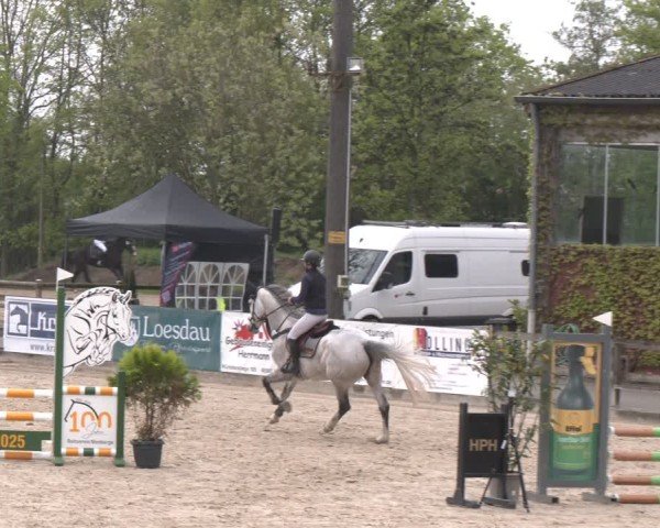 Reitturnier Nienberge 2025