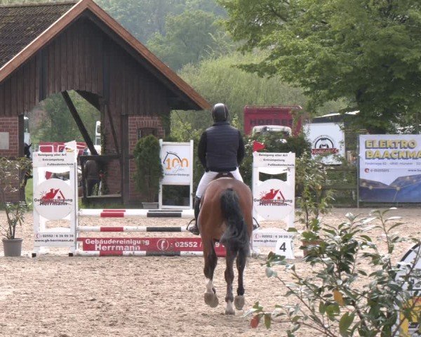 Reitturnier Nienberge 2025