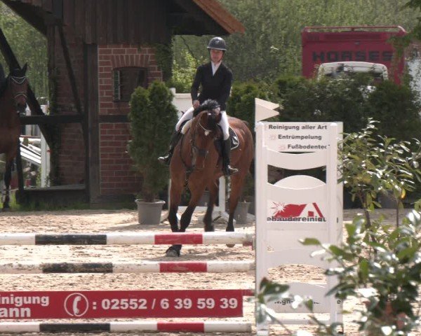 Reitturnier Nienberge 2025