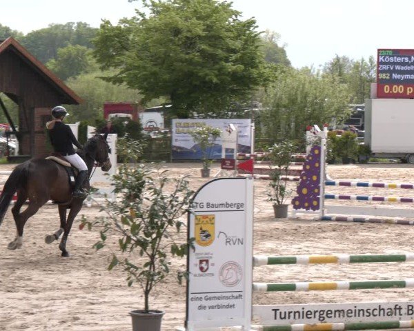 Reitturnier Nienberge 2025