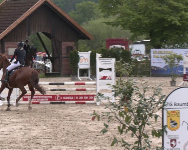 Reitturnier Nienberge 2025