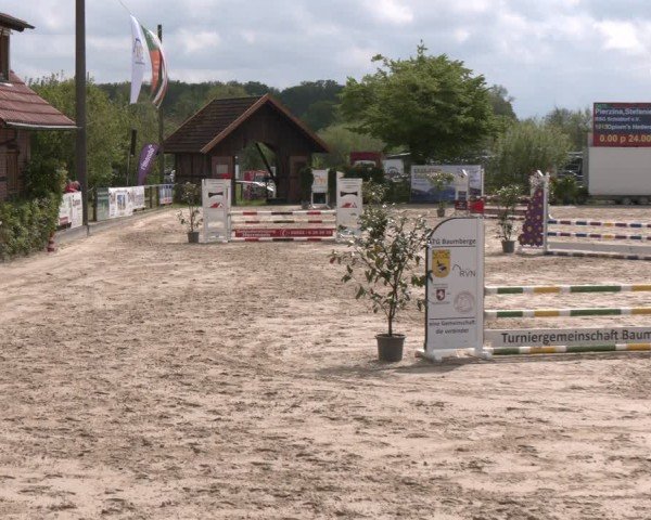 Reitturnier Nienberge 2025
