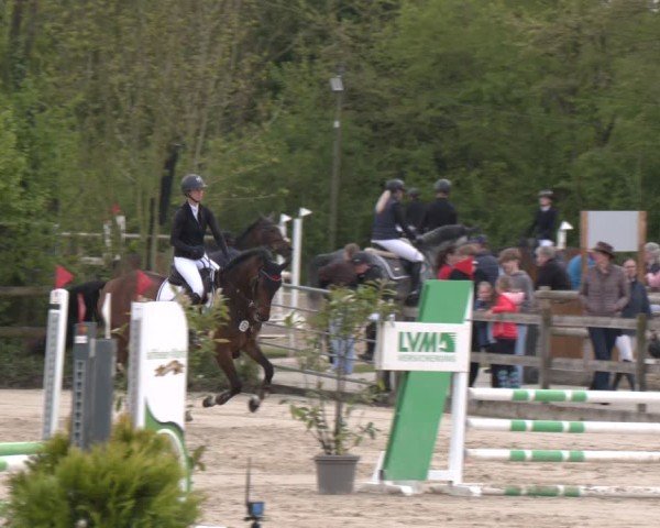 Reitturnier Nienberge 2025