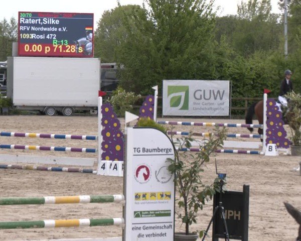 Reitturnier Nienberge 2025