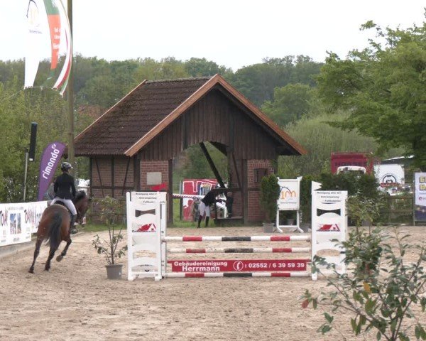 Reitturnier Nienberge 2025