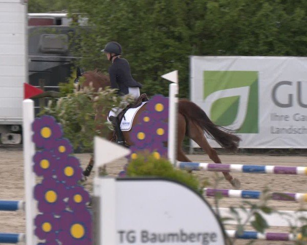 Reitturnier Nienberge 2025