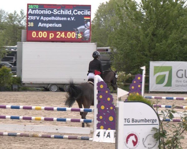 Reitturnier Nienberge 2025