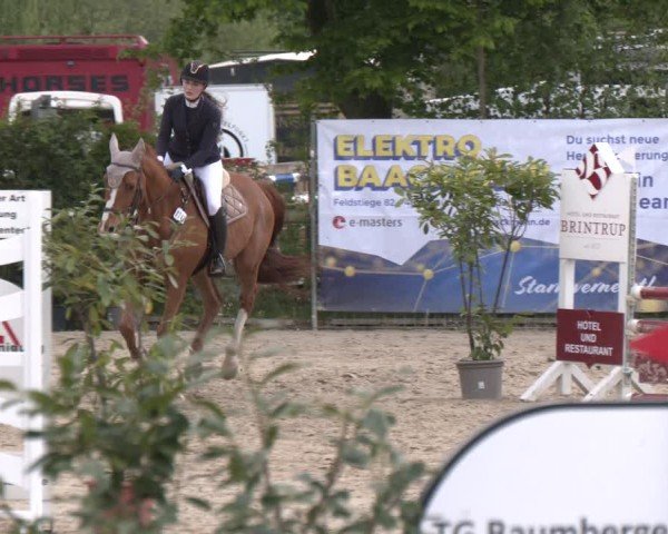 Reitturnier Nienberge 2025