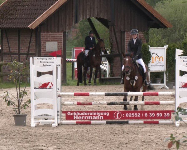 Reitturnier Nienberge 2025