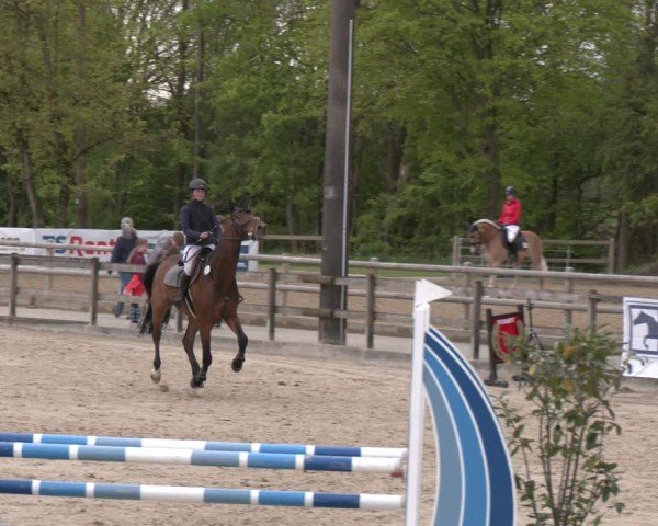 Reitturnier Nienberge 2025