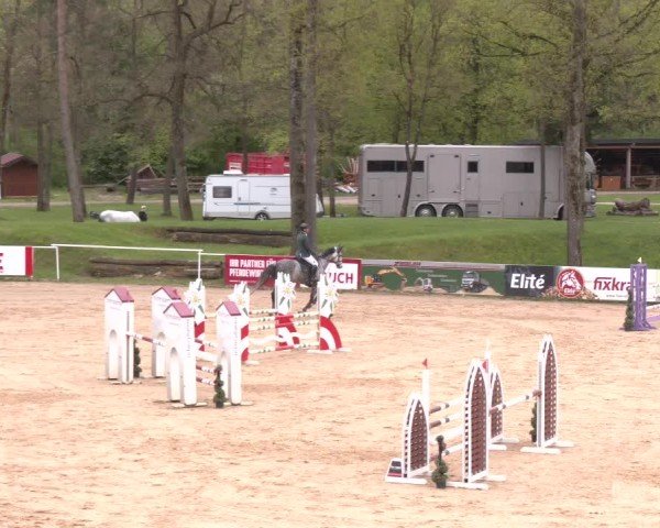Internationales Springturnier Stadl-Paura 2025